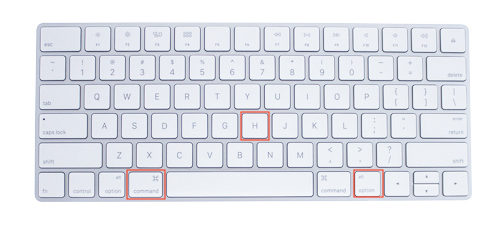 Keyboard shortcut for screen zoom